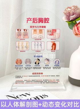 产后胸腔变形科普摆台肋骨外翻模型女性体态产康师培训专用道具图