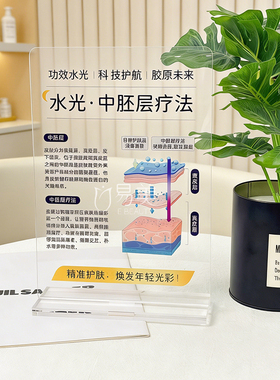 亚克力摆台美容院展示牌皮肤分层抗衰老专业教育工具肌肤代谢周期