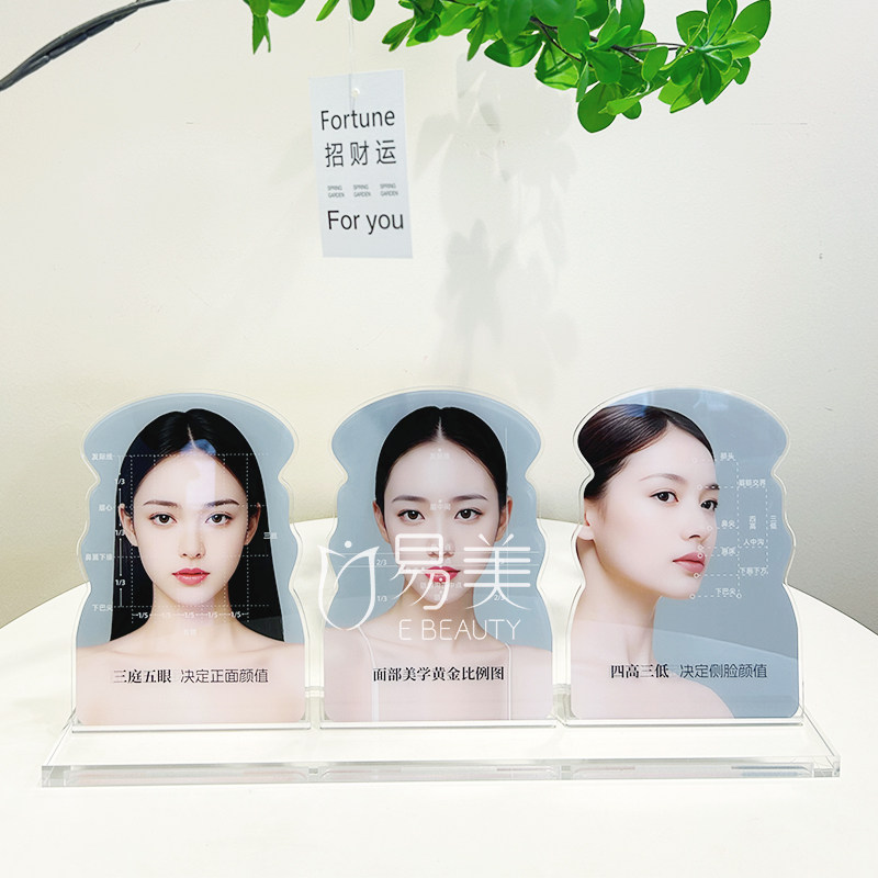 面部美学标准比例图亚克力摆件医美会诊桌面教具美容知识讲解科普