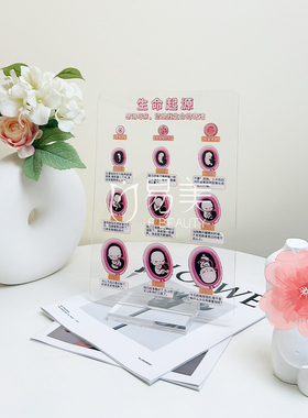 生命起源亚克力立牌桌面摆件