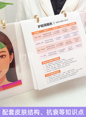 分层讲解皮肤层次面诊结构演示摆件可视化抗衰教学工具营销展示台