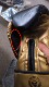 Topking black gold professional training and competition boxing gloves are on sale at a special price. The inner thumb of the left hand is aging.