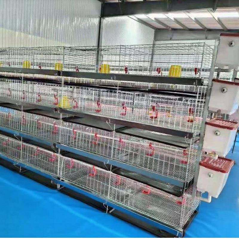 镀锌雏鸡笼育雏笼4层一体立式鸡笼土鸡公鸡鸽笼小鸡育雏笼养殖,淘宝优惠券,粉丝福利购,淘宝优惠卷