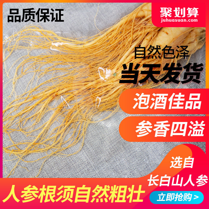 满就送长白山林下参煲汤单支保鲜参 东北特产人参卖场人参/园参及其制品