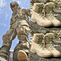 Outdoor Desert Boots Combat Boots Combat Training Shoes Men and women Abrasion Resistant Spider Boots Tactical Boots Flight Boots High Cylinder Breathable Military Fans