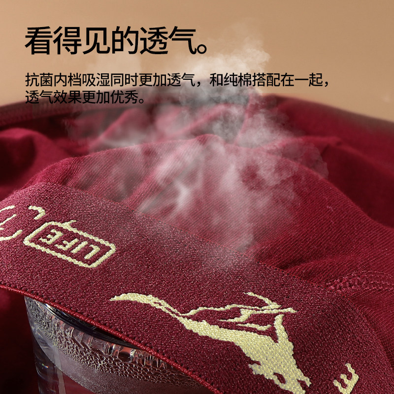 七匹狼本命年内裤男款酒红色三角裤纯棉高档名牌短裤2026新款裤衩,淘宝优惠券,粉丝福利购,淘宝优惠卷