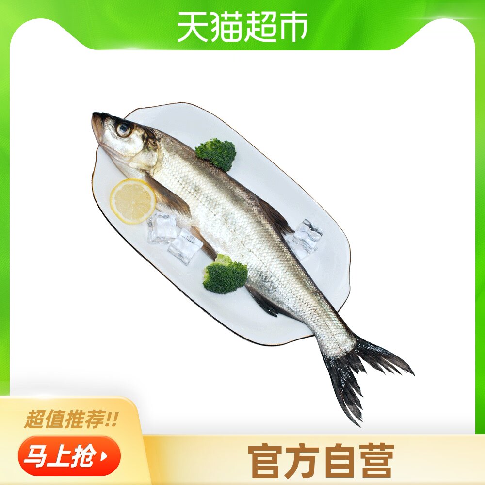冰鲜海鲜鱼推荐品牌 新人首单立减十元 21年6月 淘宝海外