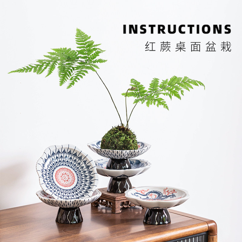陶瓷花盆中式高脚盆创意国风六月雪米竹桌面装饰摆件蕨类苔藓球盆,淘宝优惠券,粉丝福利购,淘宝优惠卷