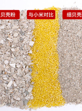 贝壳粉鸡用高钙牡蛎防啄