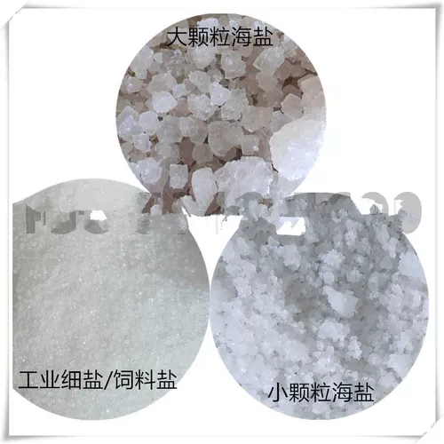 Зверя соль кормит соли животных, животноводство Специальный скот скота соля