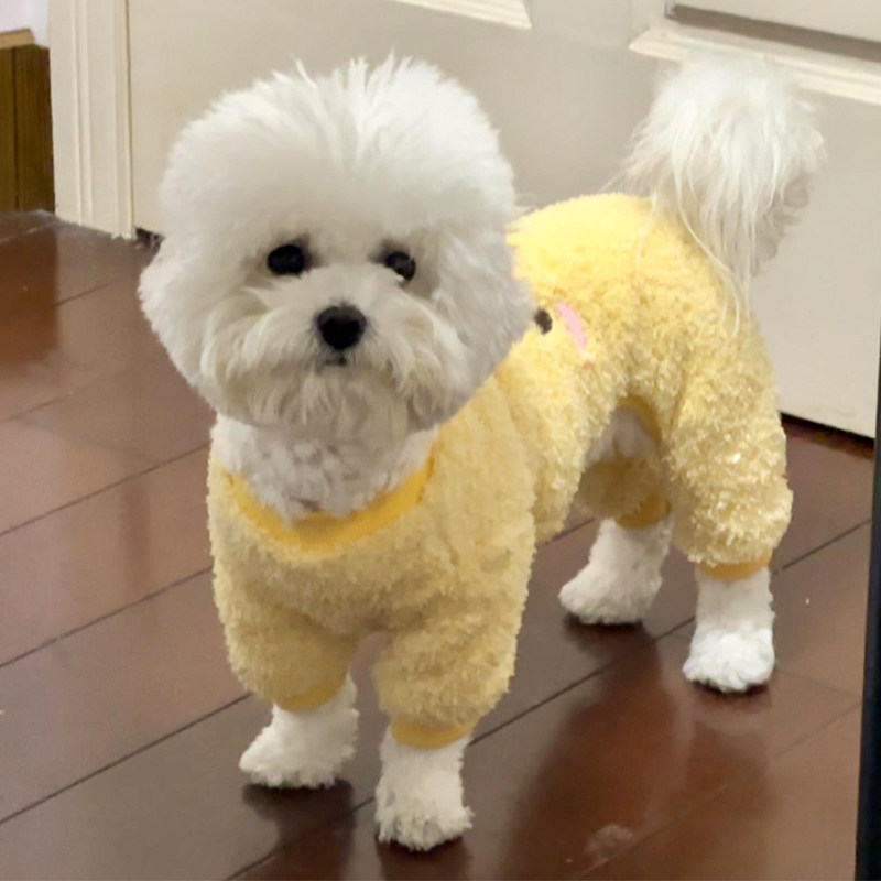 可牵引猫咪衣服秋冬款布偶英短小猫防掉毛宠物狗狗冬季保暖可牵引,淘宝优惠券,粉丝福利购,淘宝优惠卷