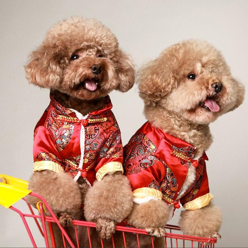 狗狗衣服秋冬款保暖盘扣唐装小型犬比熊泰迪博美宠物新年国风服饰,淘宝优惠券,粉丝福利购,淘宝优惠卷