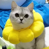 Регулируемый чокер на солнечной энергии, плавательный круг для шеи, подсолнух, кот, можно грызть