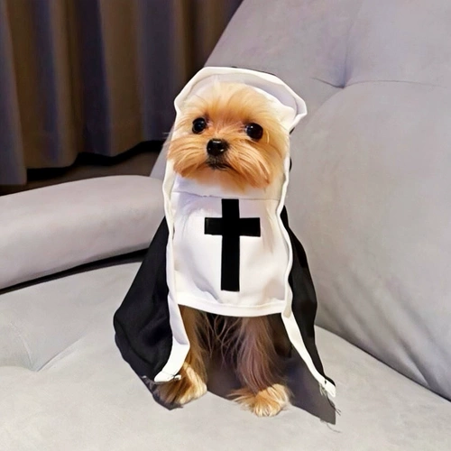 Кошачья одежда смешная одежда монахини маленькая собака поперечная капюшона ремонт кошачьего щенка фотографирует смешное наряд преобразования домашних животных