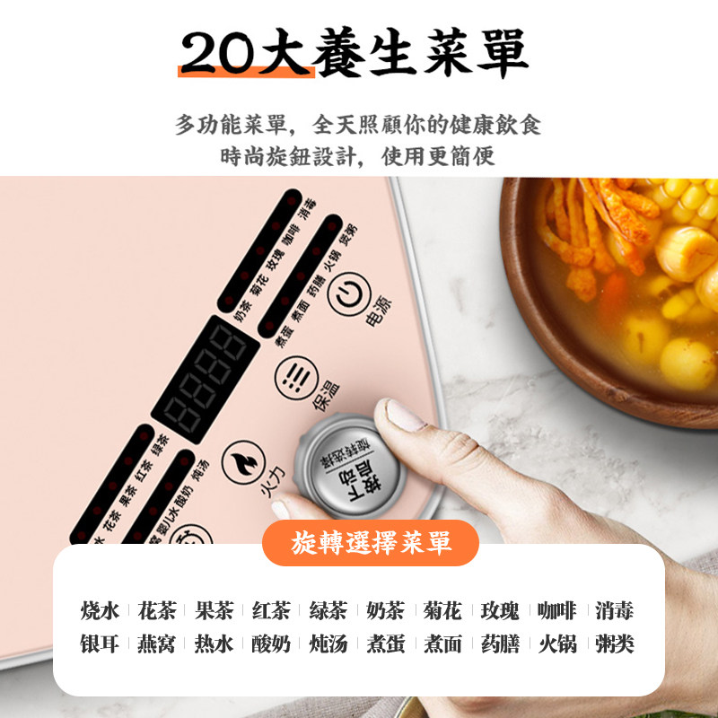  荣事达十年养生壶/煎药壶