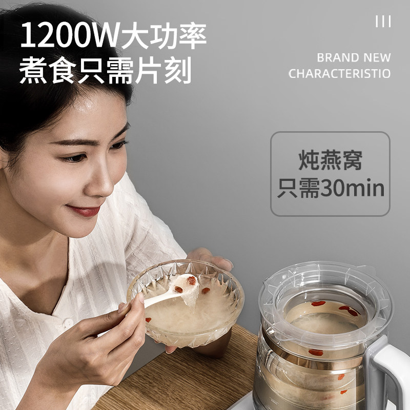  荣事达十年养生壶/煎药壶