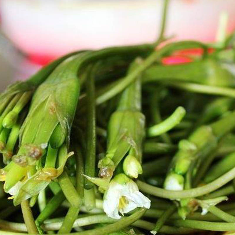 2斤顺丰包邮新鲜大理海菜花云南野菜大理特产洱海海菜水性杨花-图0