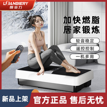 Spin Fat Shake Machine Rhythm Sloth People Exercise Weight Loss Slim Belly Slim Waist Go to Flesh Slimming Aid Reduces the Abdominal Seminator