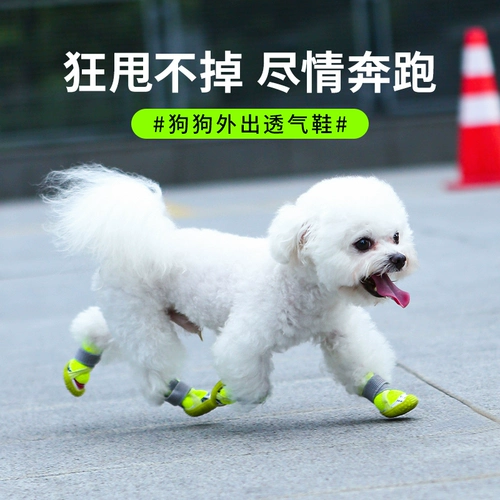 Маленькие собаки и ботинки для собак плюшевые туфли для любимой собаки.