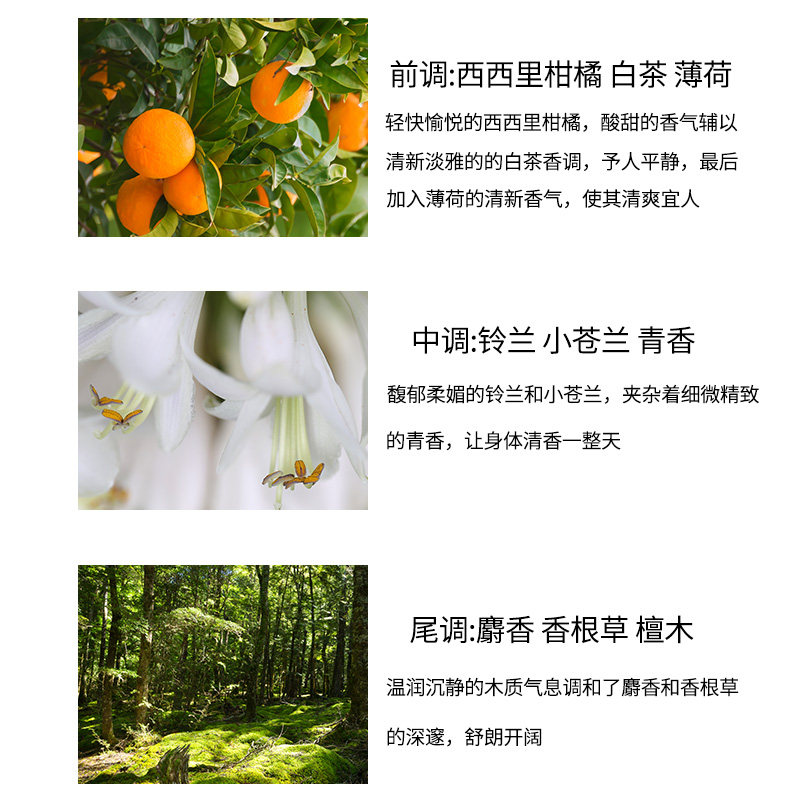 LUX力士沐浴露小苍兰白茶天堂鸟樱花植萃香氛持久留香沐浴露中样,淘宝优惠券,粉丝福利购,淘宝优惠卷