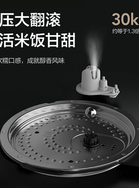 格力大松电饭煲微压WiFi智控款4L
