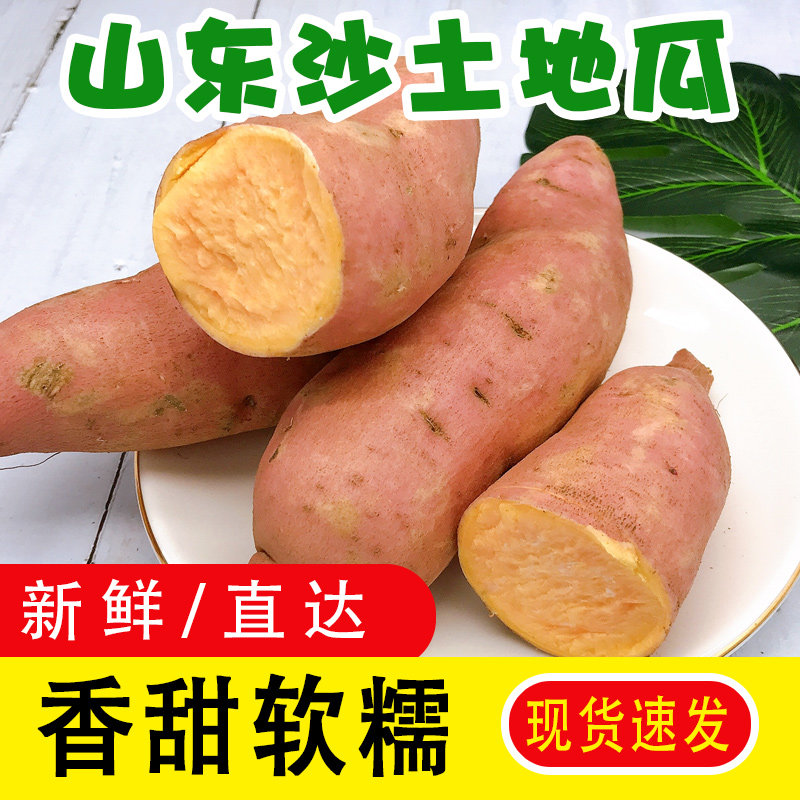新鲜红薯黄心粉糯山东蜜薯沙地小 淞尚阁番薯