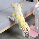 Физиологические штаны для собак, сука, женская тетя брюки менструация, Корхи Тедди, посвященные анти -межканья