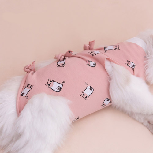 猫咪绝育服 公猫母猫纯棉透气手术服 断奶薄款防掉毛术后防舔衣服 - 图2