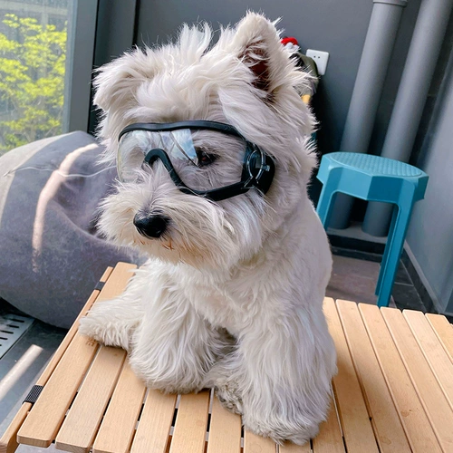 Прозрачные водонепроницаемые ветрозащитные защитные очки, солнцезащитные очки