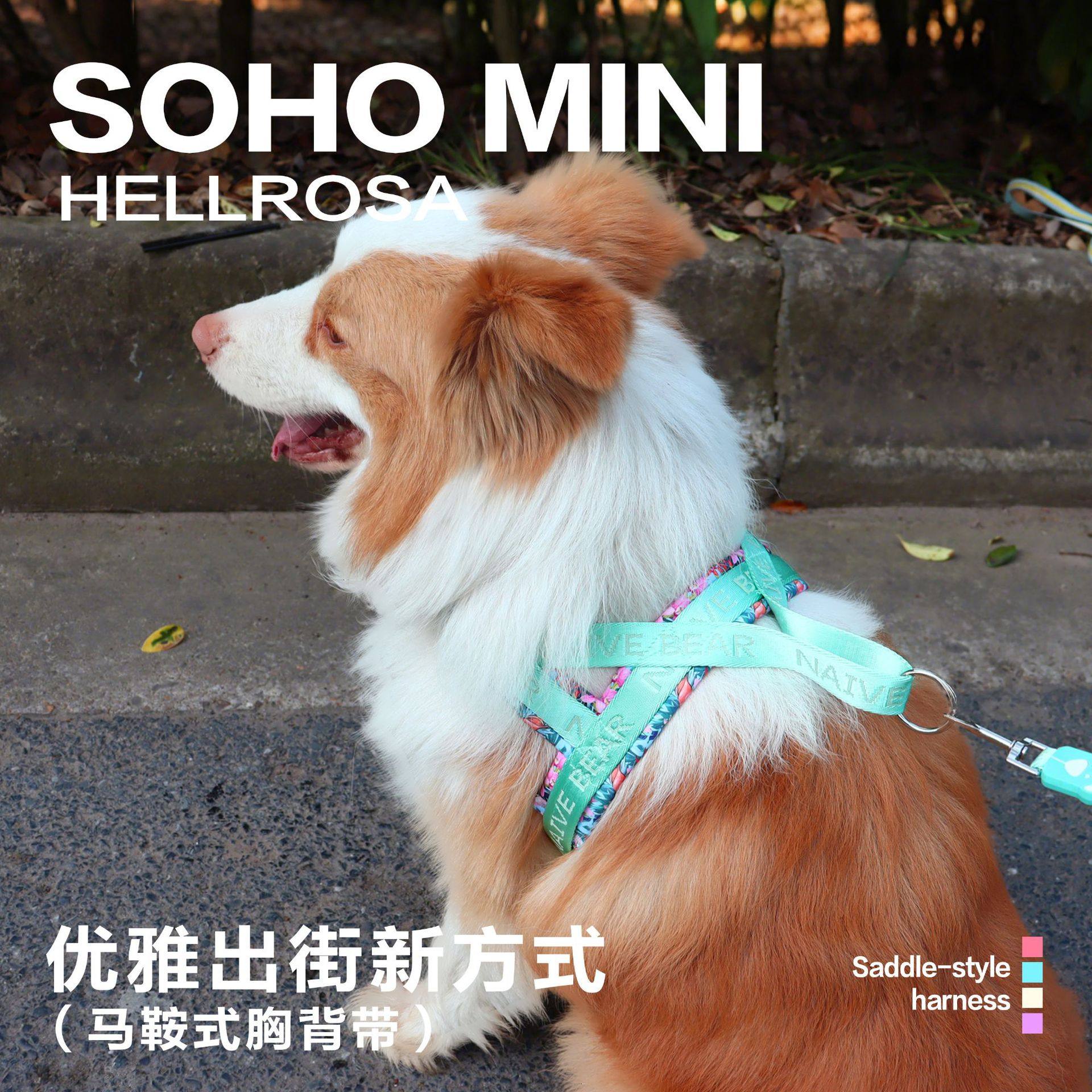 狗狗马鞍式胸背带中大型犬博美柯基柴犬边牧宠物牵引绳伸缩牵引绳,淘宝优惠券,粉丝福利购,淘宝优惠卷