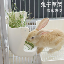 Grass Shelf Rabbit Dragon Cat Food Basin Eat Grass God Instrumental Grass Case Rabbit anti-picklegrass
