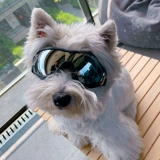 Прозрачные водонепроницаемые ветрозащитные защитные очки, солнцезащитные очки