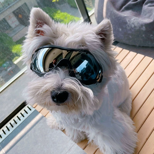 Прозрачные водонепроницаемые ветрозащитные защитные очки, солнцезащитные очки