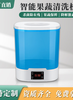 多功能果蔬清洗机洗菜机食材净化