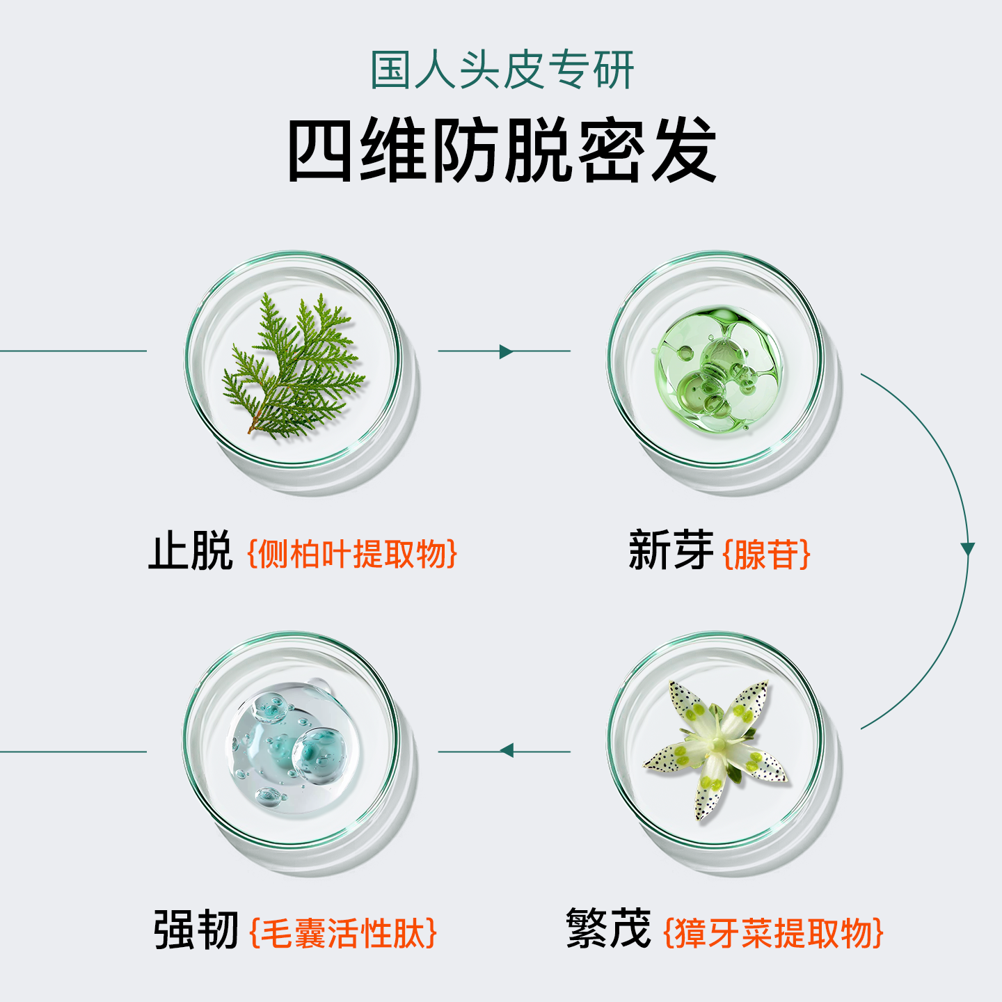 域发防脱洗发露控油洗发水去油洗发露头皮清洁膏旅行装,淘宝优惠券,粉丝福利购,淘宝优惠卷