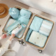 Travel luggage and clothing sorting bag set