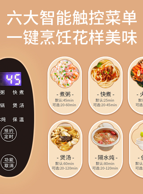 办公室迷你小型煮粥杯家用养生杯便携式养生电炖锅电热杯炖盅杯