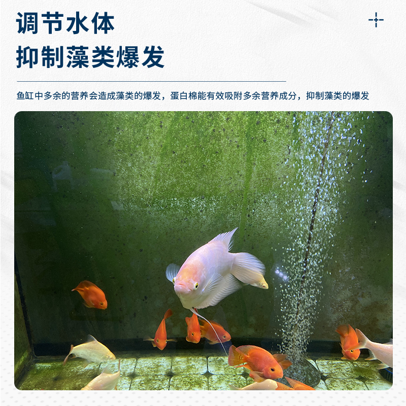 蛋白棉水族鱼缸专用净水剂去污力丸养鱼过滤材料器除黄水质净水宝 - 图2