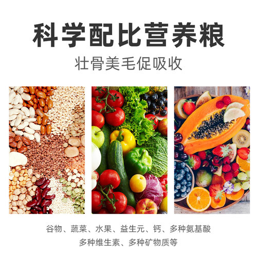 卡卡夫子玄凤鹦鹉专用粮玄凤鹦鹉鸟粮营养饲料鸟食粮食有壳混合粮 - 图1