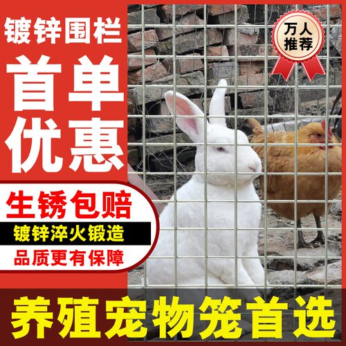 镀锌铁丝围栏铁网格网养殖鸡狗笼钢丝电焊网片加粗建筑隔离防护网 - 图3