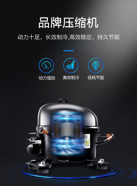 双开门纯风冷立体式展示柜冷藏保鲜柜饮料柜鲜花柜