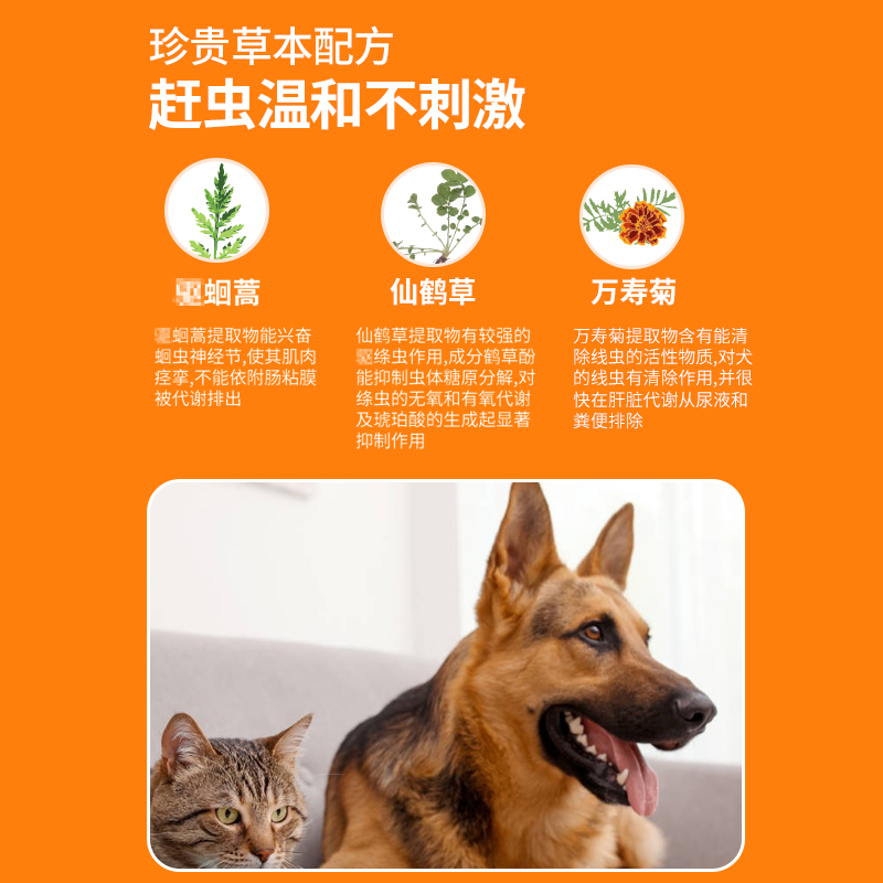 king魔方方糖狗狗体内驱虫药宠物猫咪金毛大型犬线虫蛔虫打虫药猫 - 图2