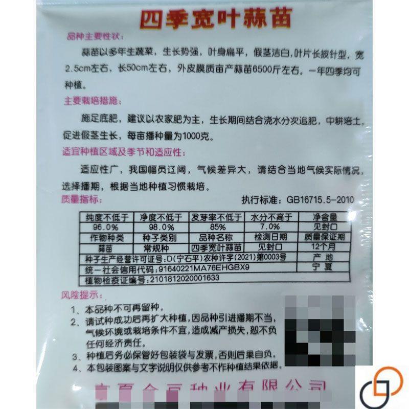 红皮宽扁叶蒜苗种子一年四季三茬连续均可种植蒜苗种籽蒜种子蒜苗