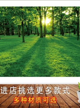 树林森林绿色大自然护眼风景画
