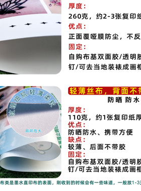 富贵吉祥红牡丹大公鸡壁画金鸡报晓招财画客厅玄关书房装饰画墙贴