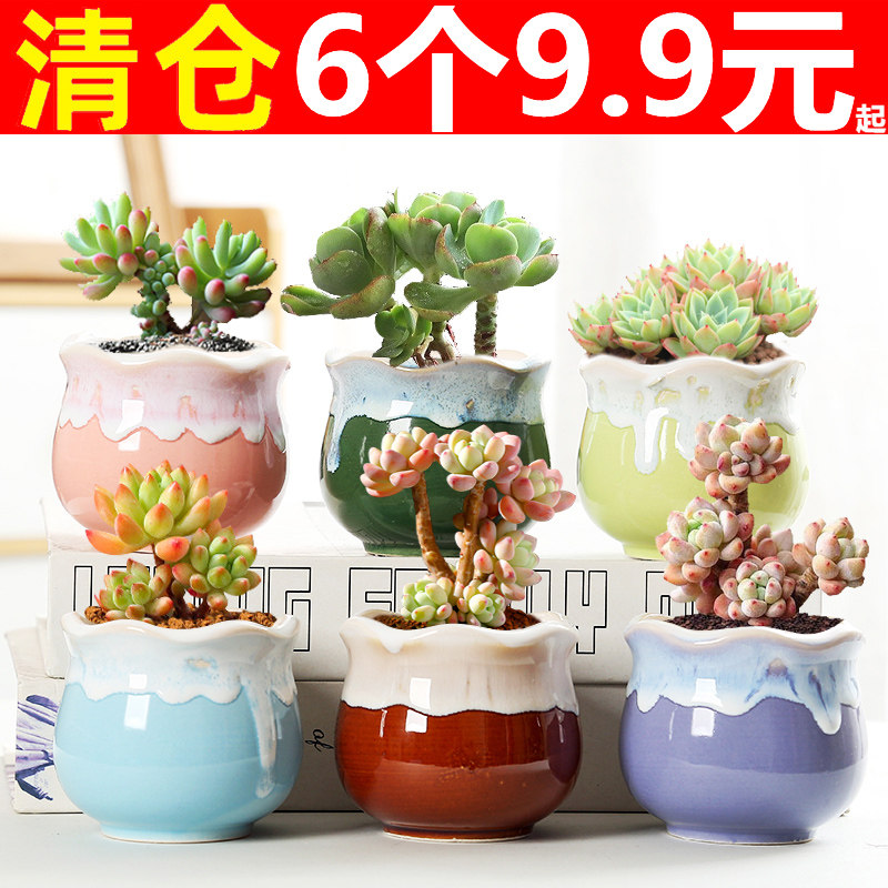 长方形多肉花盆陶瓷大口径包邮阳台大号肉肉专用花盆长条特价清仓,淘宝优惠券,粉丝福利购,淘宝优惠卷