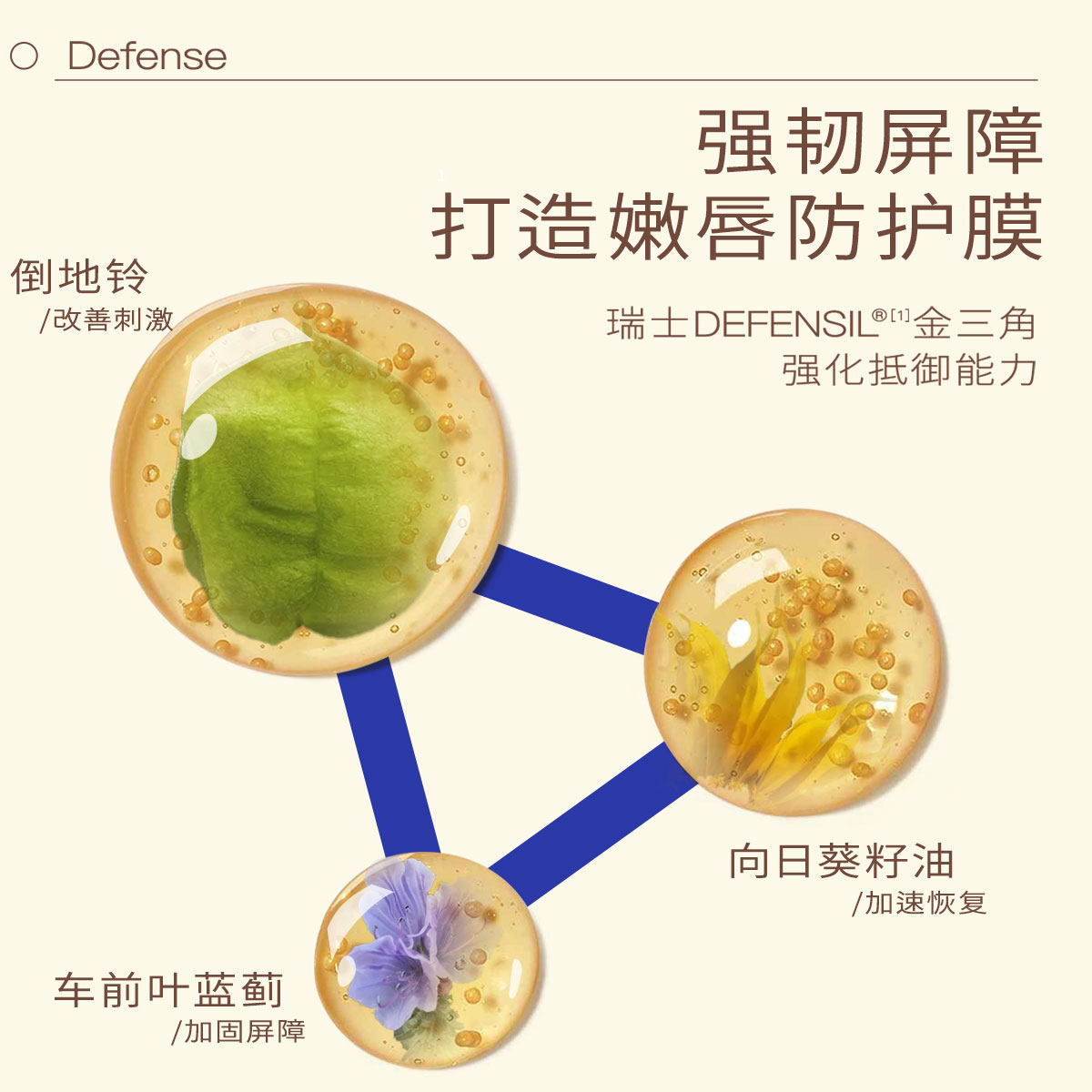  植卡美唇部精华