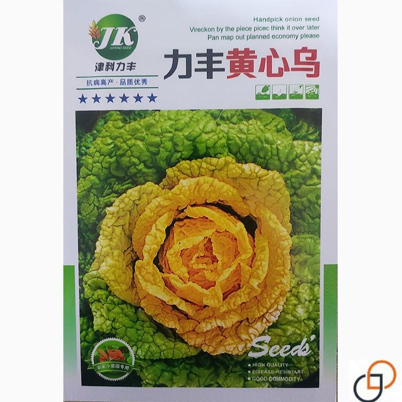 黄心乌菜种种子乌塌菜种籽四季白菜冬天青菜蔬菜孑黑菜秋冬季菜籽