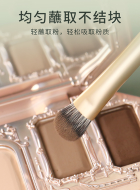 摩登时代逆龄沧州眼部化妆刷