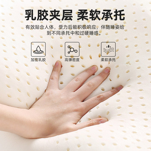 乳胶床垫遮盖物软垫家用打地铺睡垫褥子学生宿舍单人地铺海绵垫子 - 图2